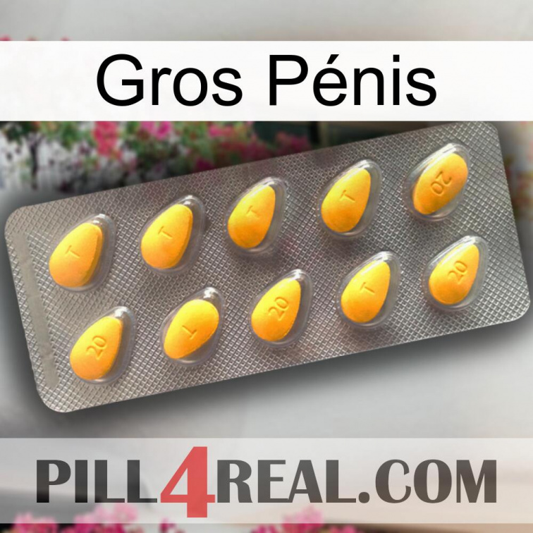 Gros Pénis cialis1